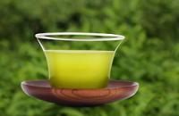 お茶を飲むと花粉症になりにくい