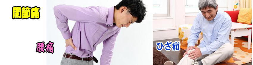 関節痛の原因は軟骨のすり減り