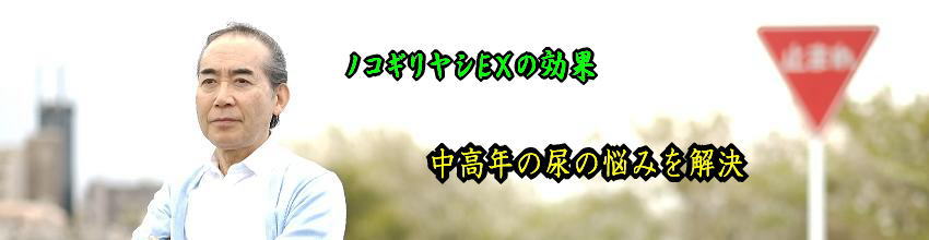 小林製薬のノコギリヤシＥＸで尿トラブル解消
