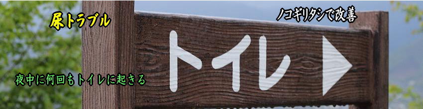 尿トラブルにはノコギリヤシ