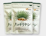 やわたノコギリヤシ