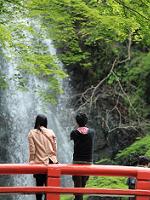 自然の中でリラックス