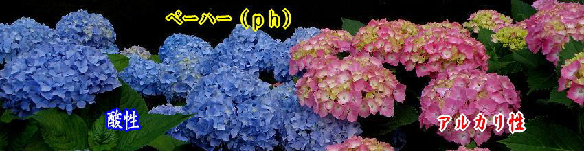 �y�[�n�[�̒P�ʂ̓[������P�S�܂ł���