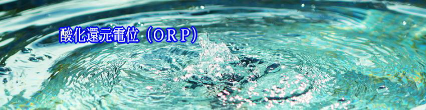 ���f�͎_���Ҍ��d�ʂ́[�S�Q�O����