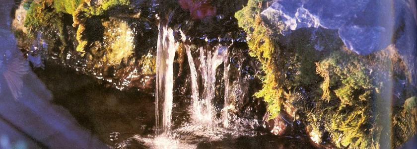 ルルドの泉は水素水