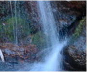 病気の治療や予防する