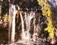 奇跡の水は天然の水素水