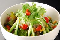 野菜サラダ